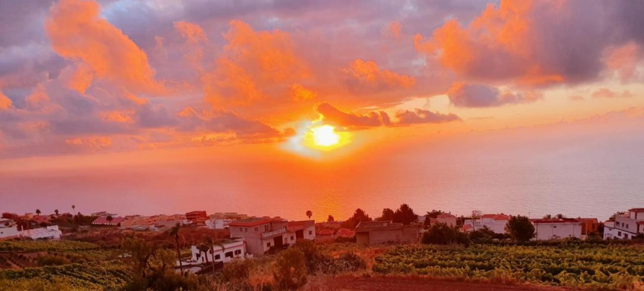 Villa La Casita La Matanza De Acentejo Esterno foto